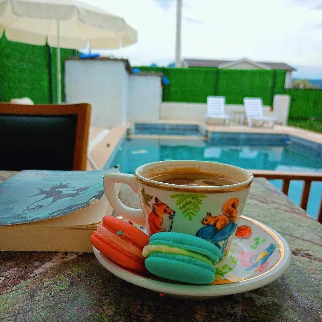 Villa Fethiye 0*,